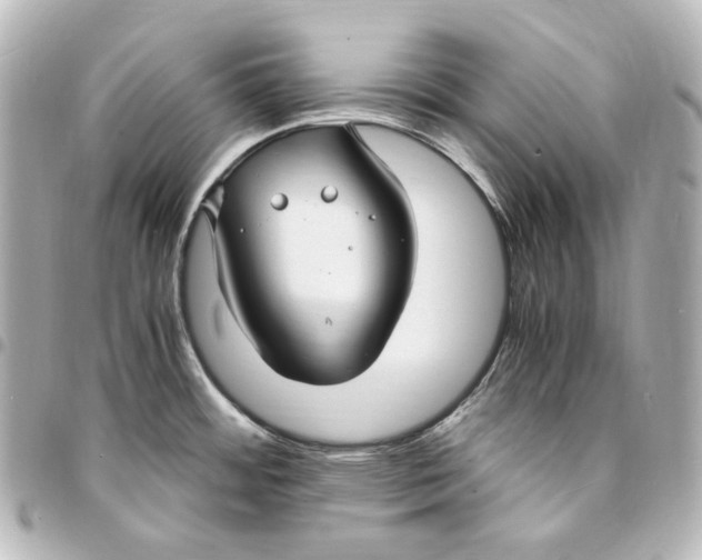 X0000095521484200712281449