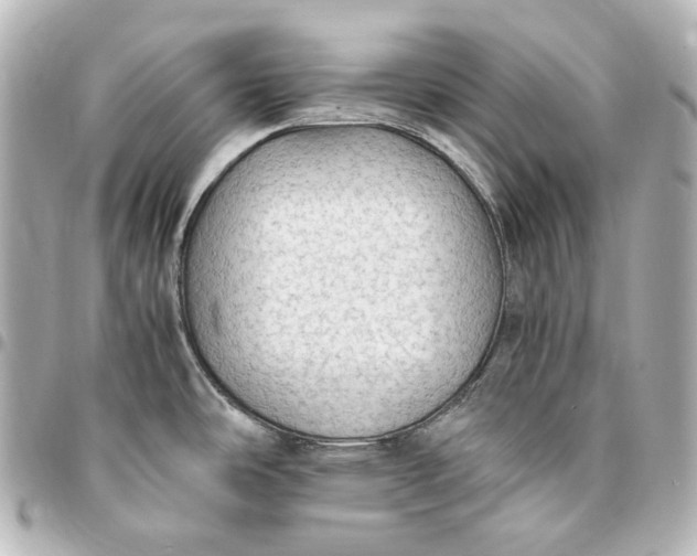 X0000095521486200712281449