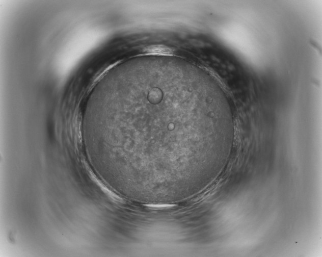 X0000095521487200712281449