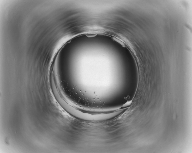 X0000095521488200712281449