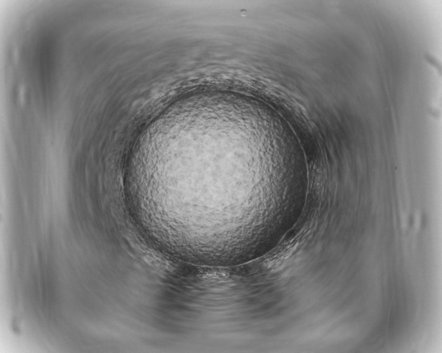 X0000095521489200712281448