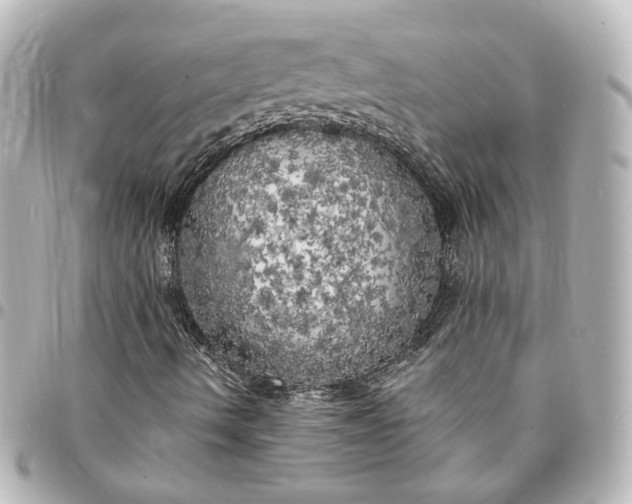 X0000095521490200712281448