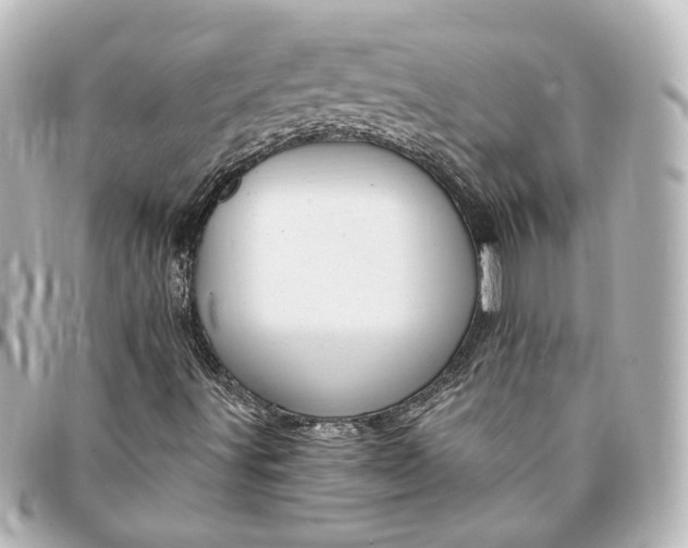 X0000095521491200712281448