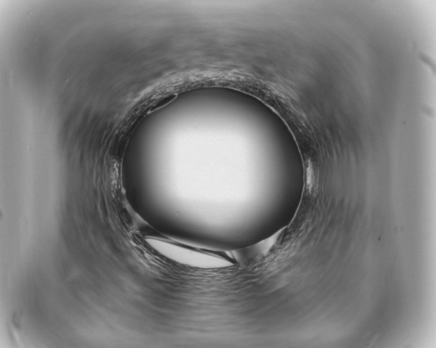 X0000095521492200712281448