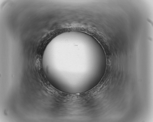 X0000095521493200712281448