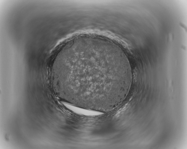 X0000095521494200712281448