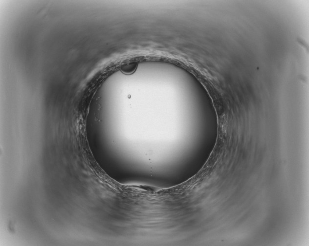 X0000095521495200712281448