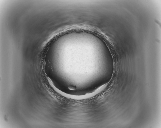 X0000095521496200712281448