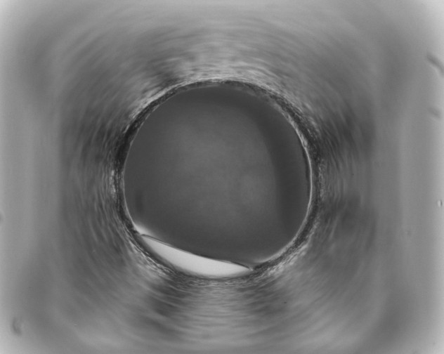 X0000095521497200712281448