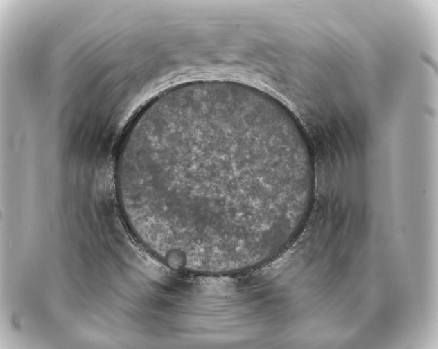 X0000095521498200712281448