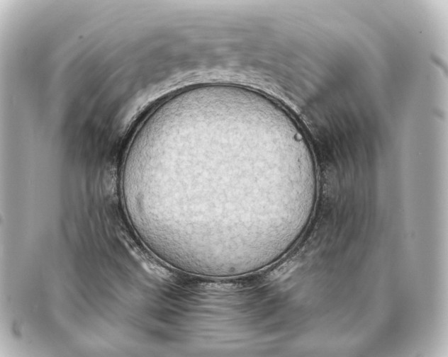 X0000095521499200712281448