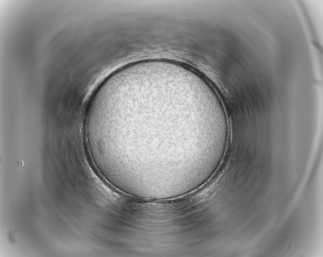 X0000095521500200712281448