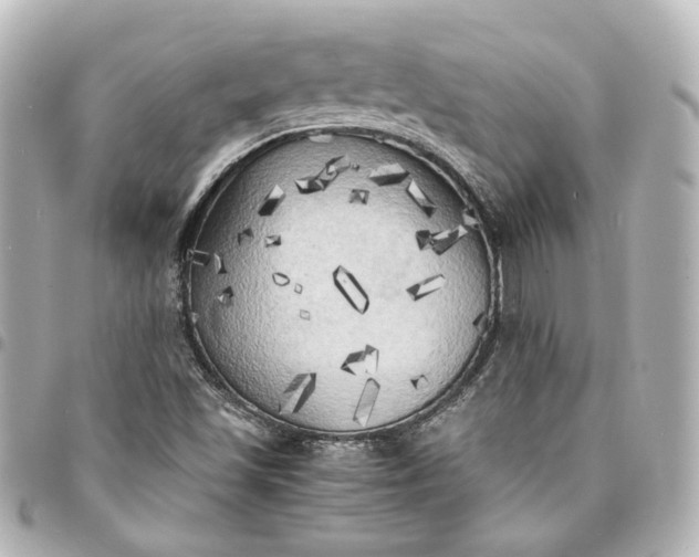 X0000095521501200712281448