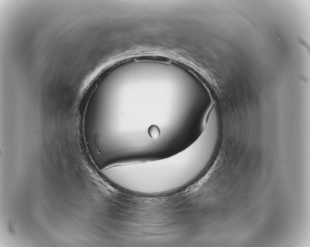 X0000095521502200712281448