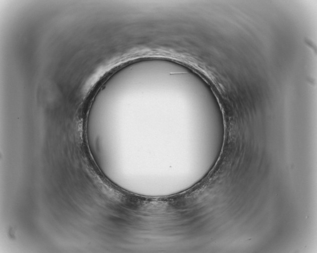 X0000095521503200712281448