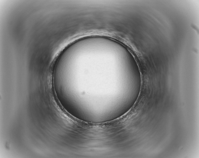 X0000095521504200712281448