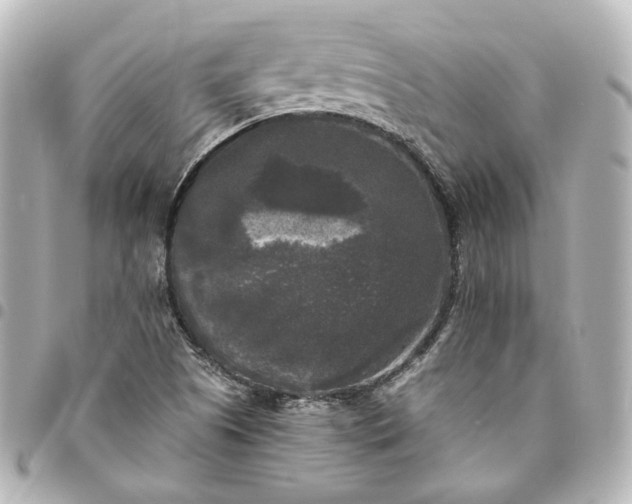 X0000095521505200712281448