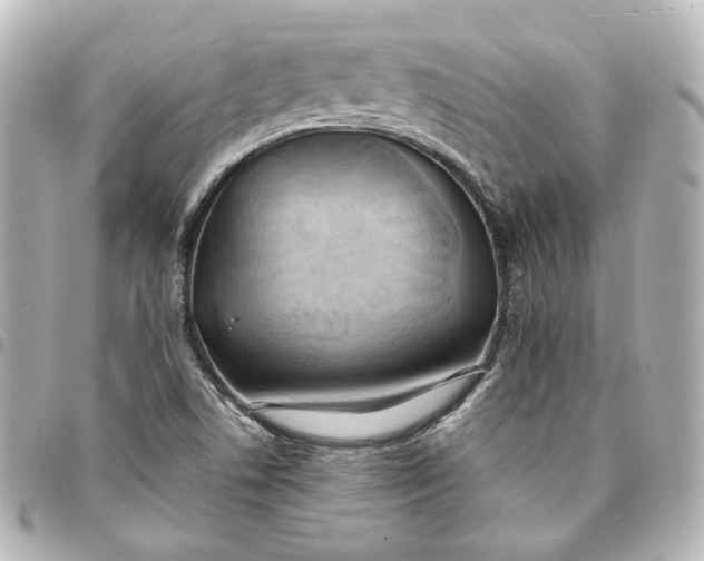 X0000095521506200712281448