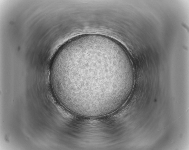 X0000095521507200712281448