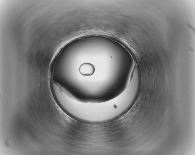 X0000095521508200712281448