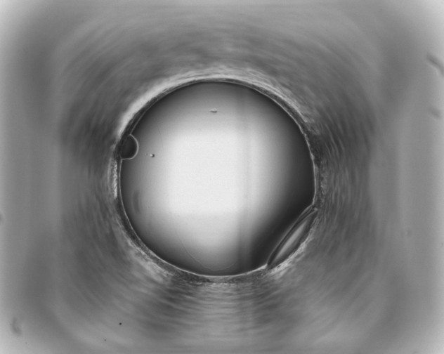 X0000095521510200712281448