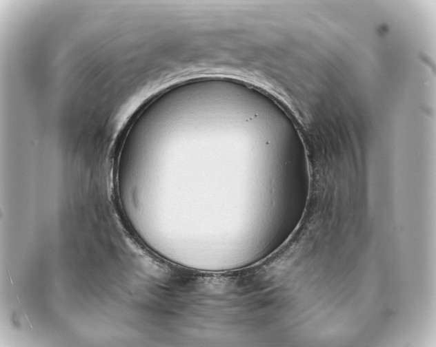 X0000095521511200712281448