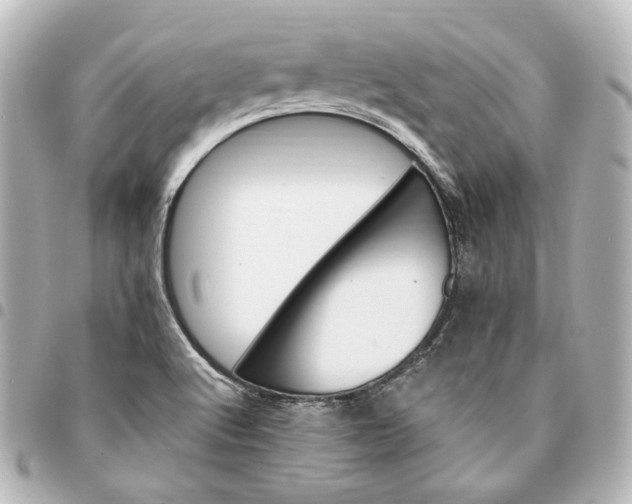 X0000095521512200712281448