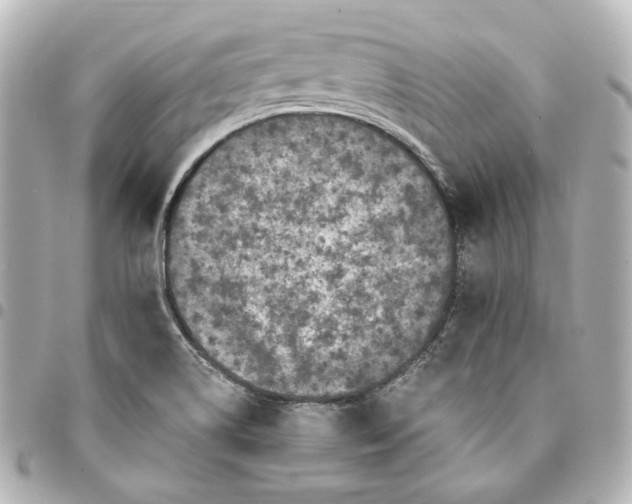 X0000095521514200712281448