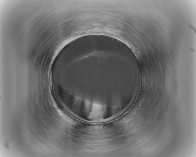 X0000095521515200712281448