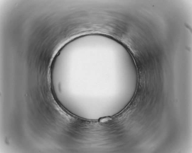 X0000095521516200712281448