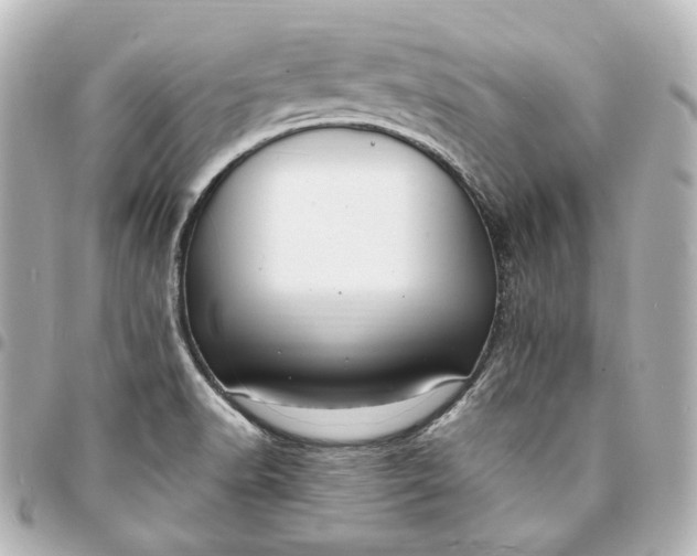 X0000095521518200712281448