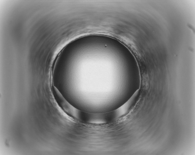 X0000095521520200712281448