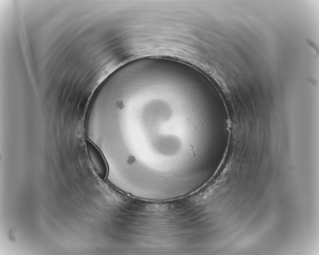 X0000095521521200712281448