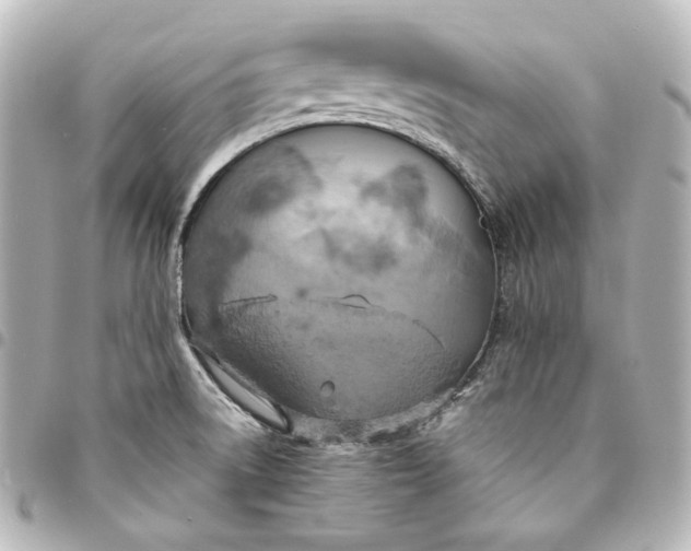 X0000095521522200712281448