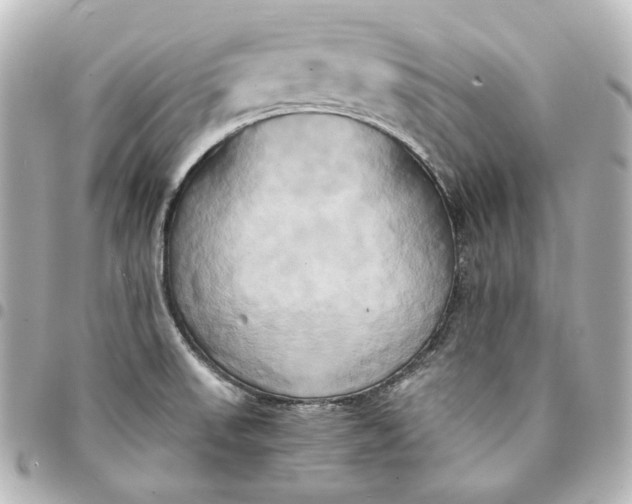 X0000095521523200712281448