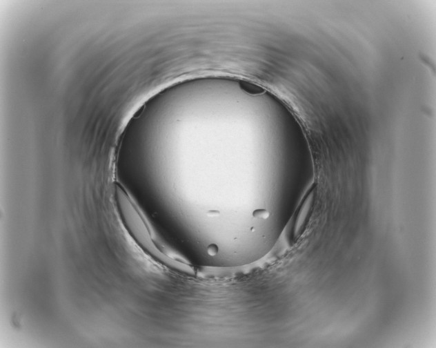 X0000095521524200712281448