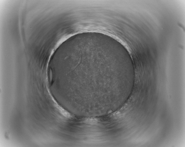 X0000095521525200712281448