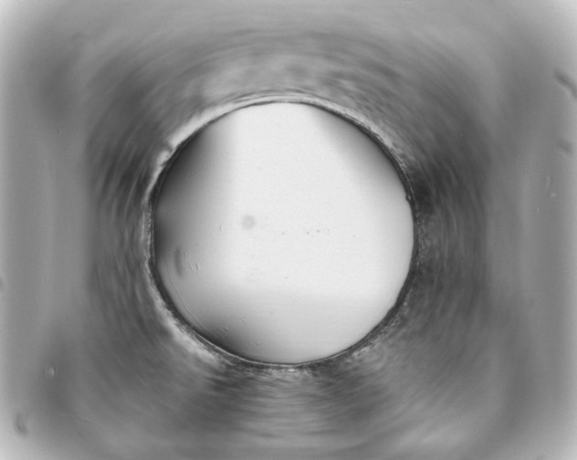 X0000095521526200712281448