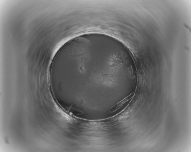 X0000095521527200712281449