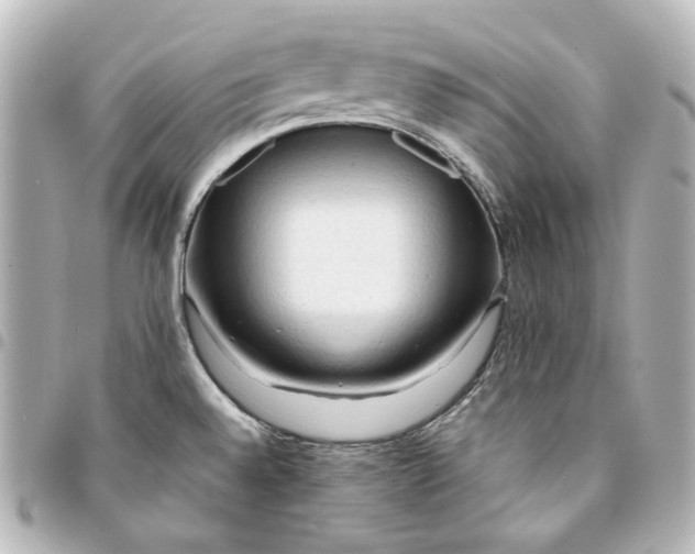 X0000095521528200712281449