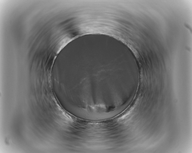 X0000095521529200712281449