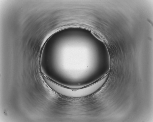 X0000095521530200712281449