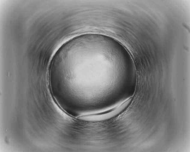 X0000095521531200712281449