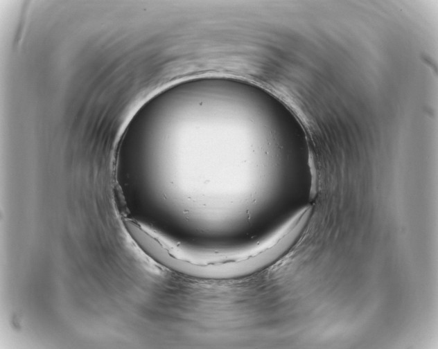 X0000095521532200712281449