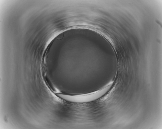 X0000095521533200712281449