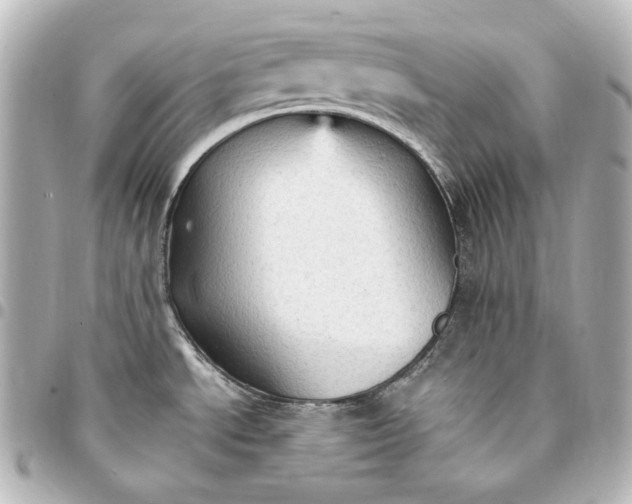 X0000095521534200712281449