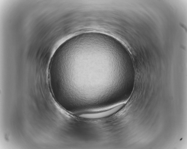 X0000095521535200712281449