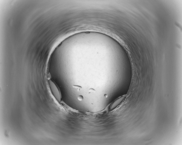 X0000095521536200712281449