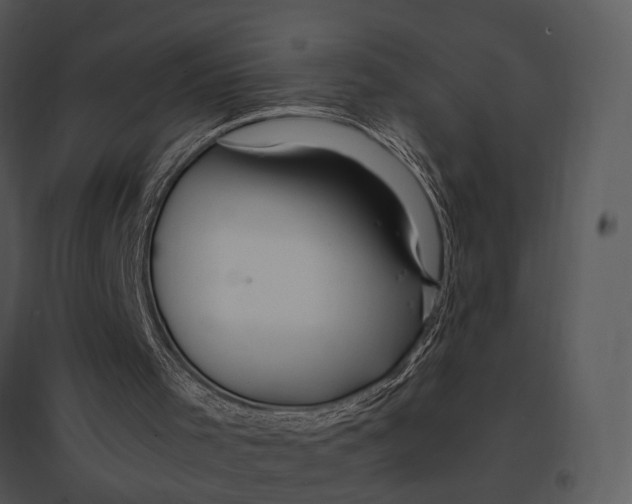 X0000095520001200801041233