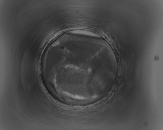 X0000095520002200801041233